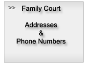 Family Court Info